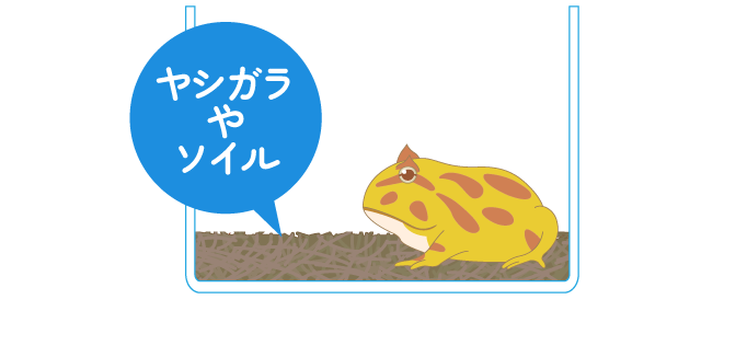 ヤシガラやソイル