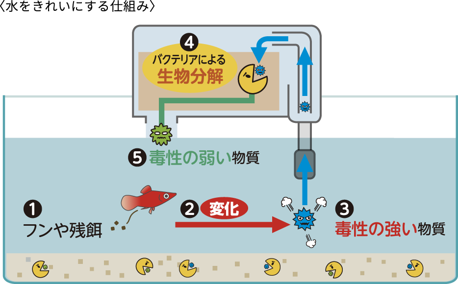 〈水をきれいにする仕組み〉イメージ