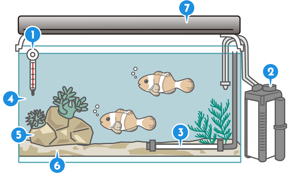 海水魚準備するものイメージ