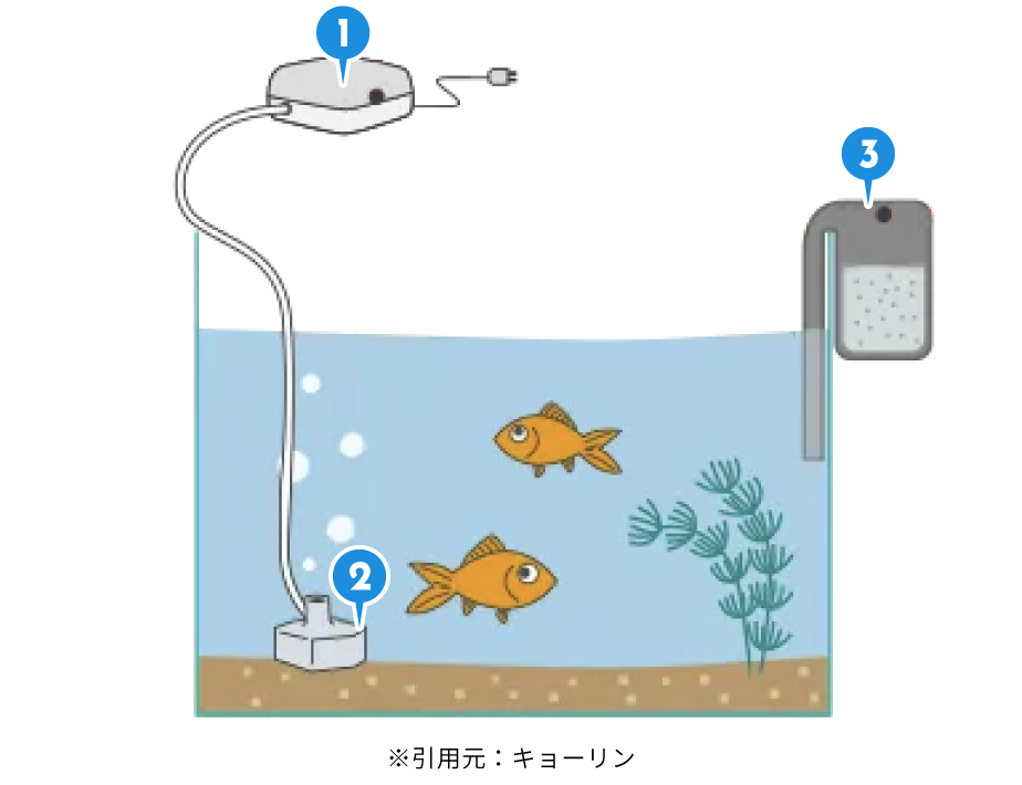 金魚準備するものイメージ