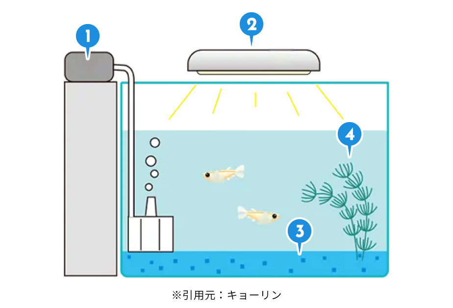 メダカ準備するものイメージ