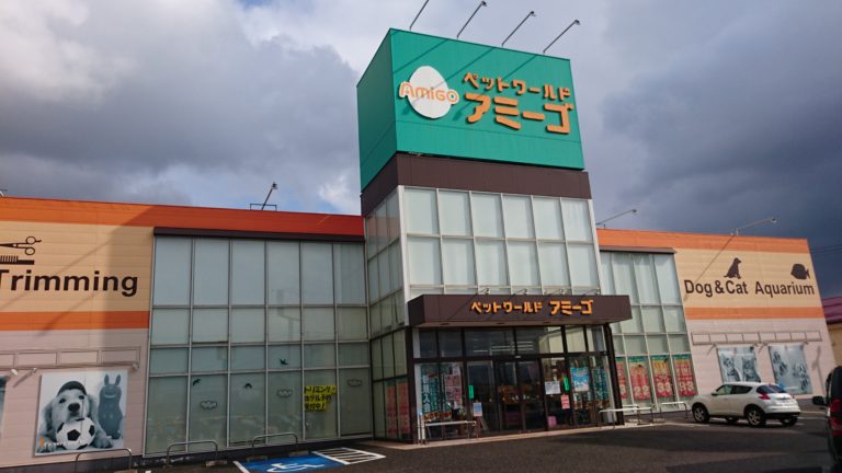 アミーゴ新潟小新店の店舗写真