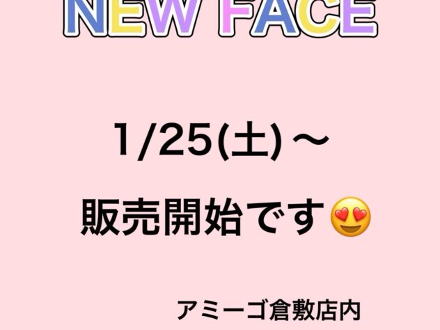 岡山県のチワワ(ロング) (アミーゴ倉敷店/2024年11月25日生まれ/男の子/ブラックタンホワイト)の子犬