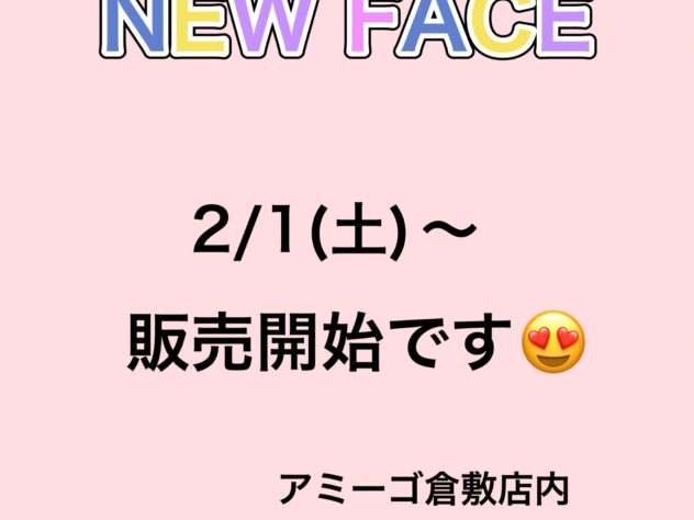 岡山県のトイプードル(トイ) (アミーゴ倉敷店/2024年12月2日生まれ/女の子/シルバー)の子犬