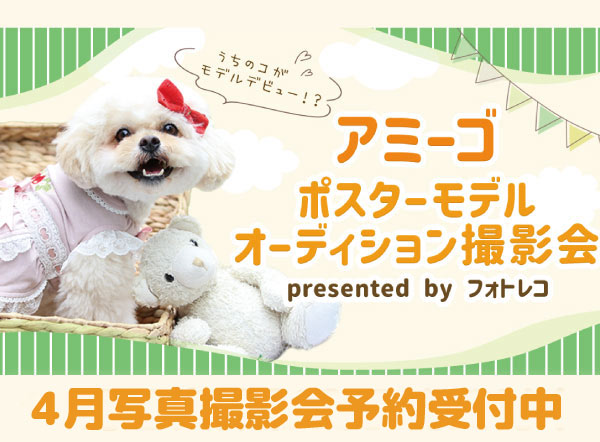 ペットワールド アミーゴ | ペットワールド アミーゴ 