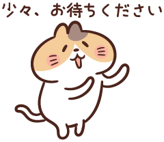 秋田県のビションフリーゼ (アミーゴ秋田茨島店/2025年9月1日生まれ/男の子/ホワイト)の子犬