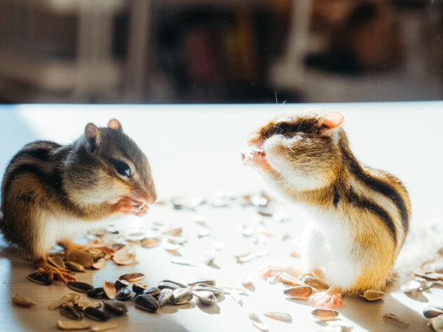 ひめちゃん&そうくん