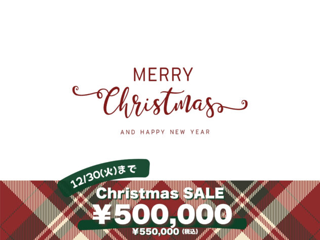 岡山県のヨークシャーテリア (アミーゴ大安寺店/2025年9月28日生まれ/女の子/スチールブルータン)の子犬