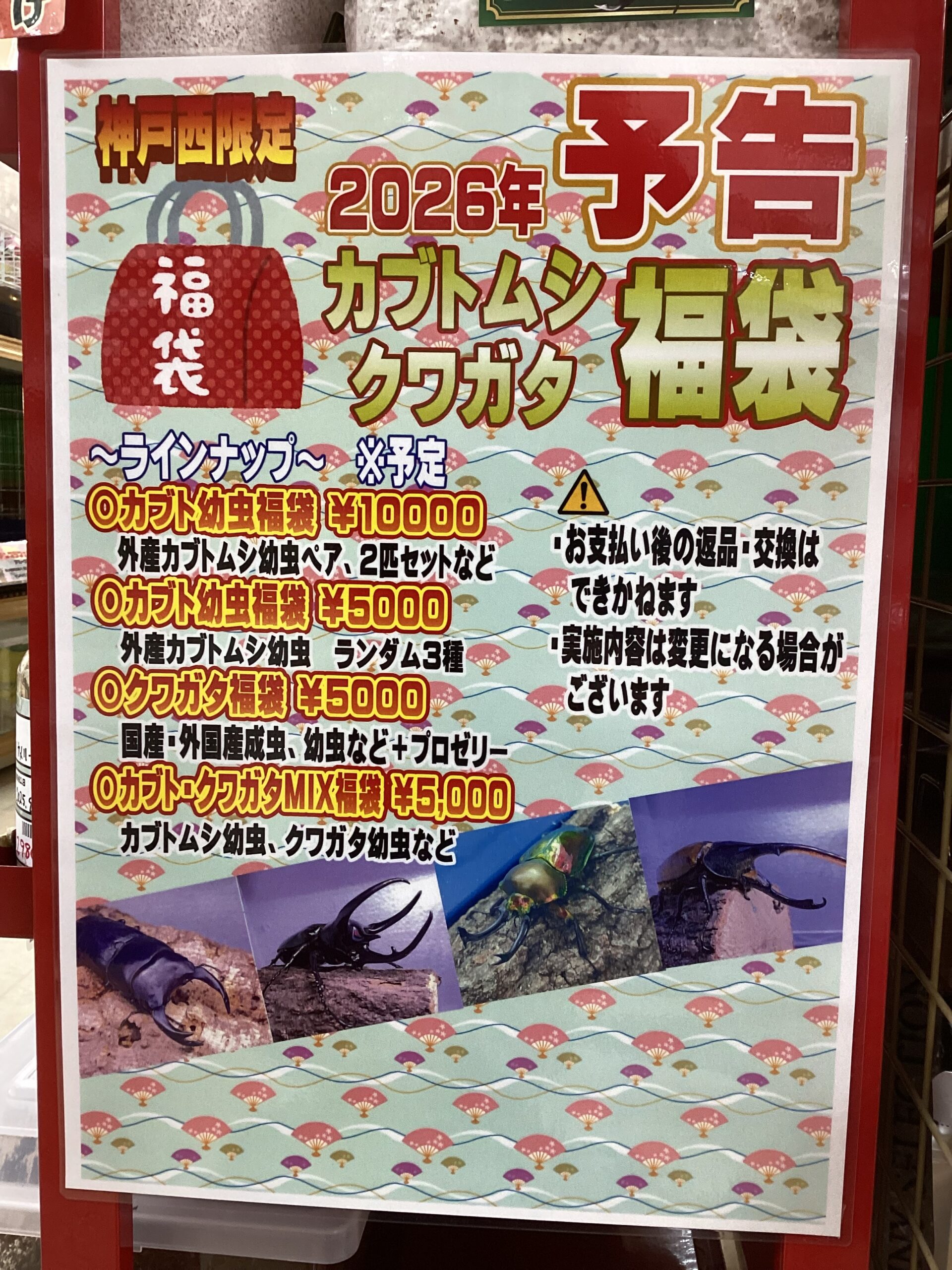 ☆神戸西限定☆昆虫福袋販売!! | ペットワールド アミーゴ