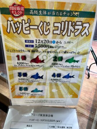 ペットワールド アミーゴ