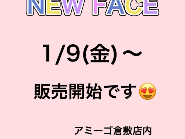 岡山県のシーズー (アミーゴ倉敷店/2025年11月4日生まれ/女の子/ゴールドホワイト)の子犬
