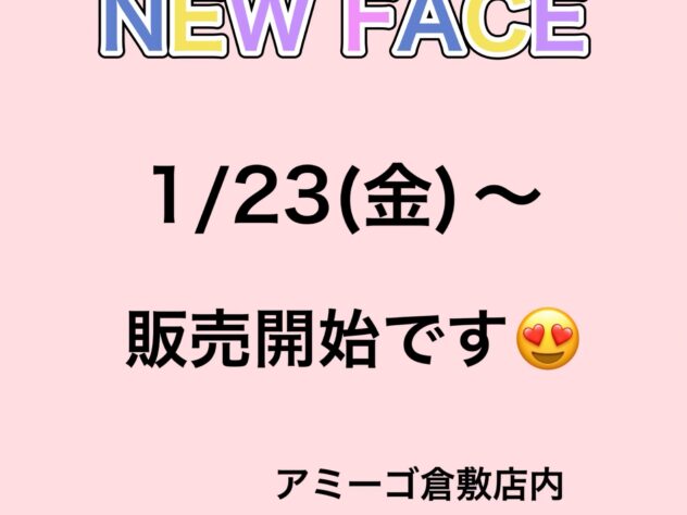 岡山県のチワワ(ロング) (アミーゴ倉敷店/2025年11月16日生まれ/男の子/レッドホワイト)の子犬