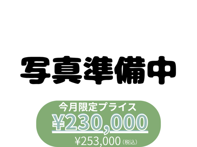 岡山県のハーフ犬・ミックス犬 (アミーゴ水島店/2025年12月3日生まれ/女の子/ホワイト)の子犬
