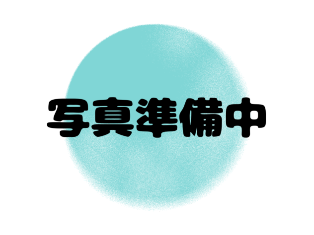 岡山県のブリティッシュショートヘアー (アミーゴ水島店/2025年12月11日生まれ/女の子/ブルー)の子猫