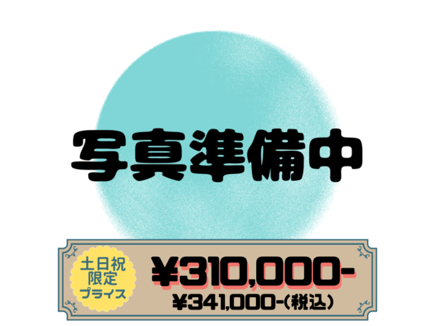 岡山県のスタンダードプードル (アミーゴ水島店/2025年12月15日生まれ/女の子/グレー)の子犬
