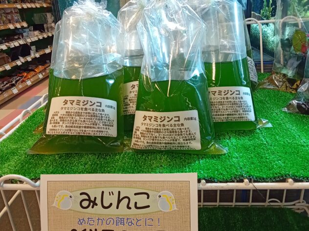 ミジンコ | ペットワールド アミーゴ