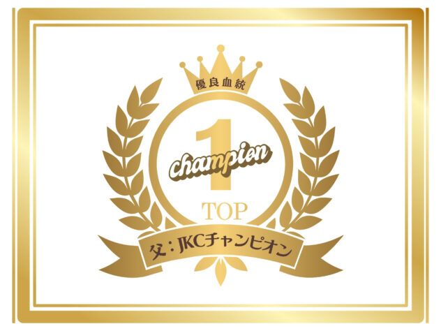 岡山県のトイプードル(トイ) (アミーゴ大安寺店/2026年2月16日生まれ/男の子/グレー)の子犬