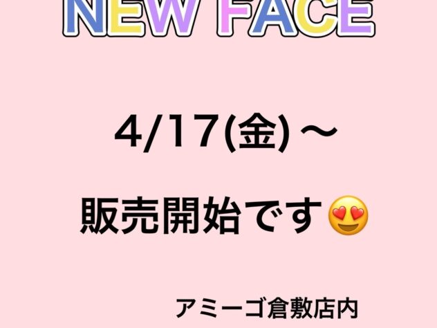 岡山県のマンチカン (アミーゴ倉敷店/2026年1月13日生まれ/女の子/シルバーマッカレルタビー)の子猫