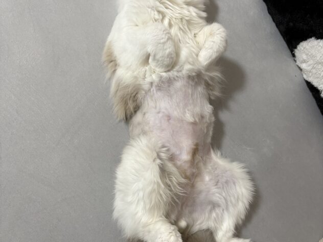 秀仁