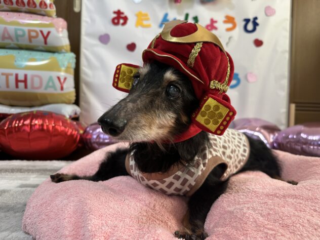 ブル