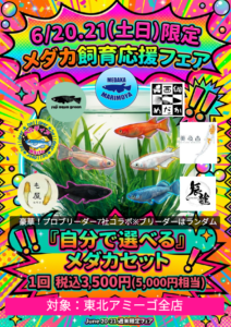 6月20日・21日】メダカ飼育応援フェア開催します！ | ペットワールド 