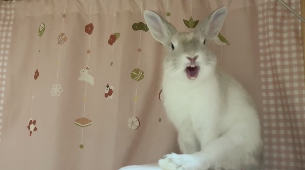 一護（いちご）