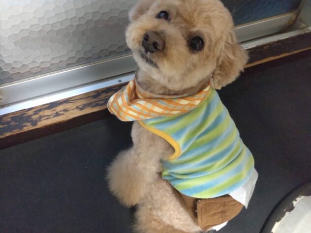 と〜ま🐶