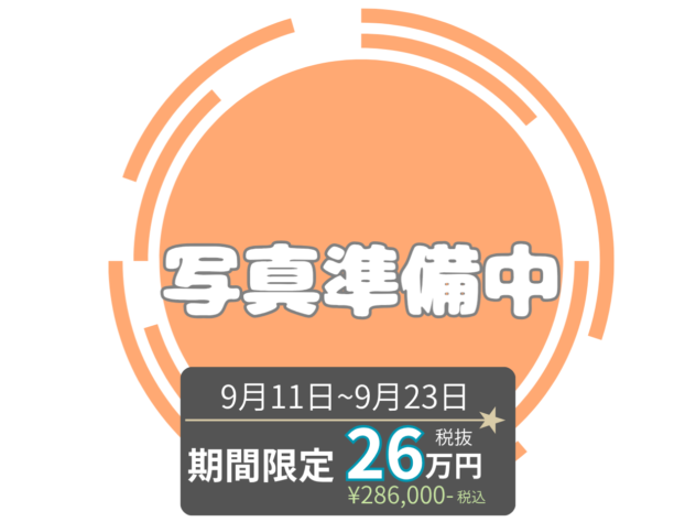 岡山県のブリティッシュショートヘアー (アミーゴ水島店/2026年7月28日生まれ/女の子/ブルー)の子猫
