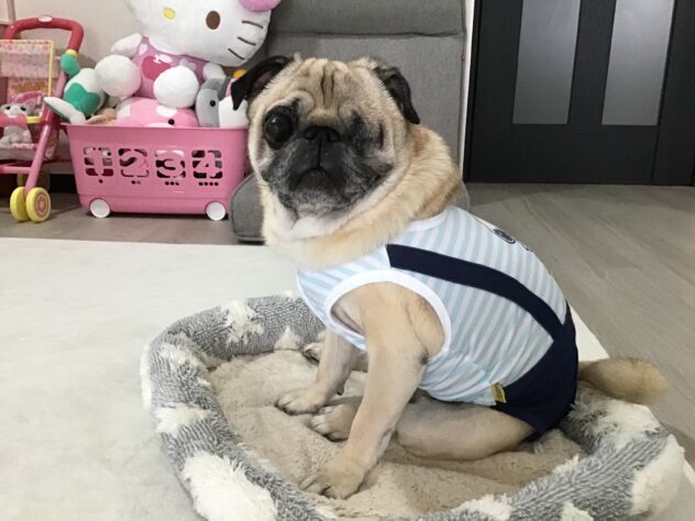 マロン
