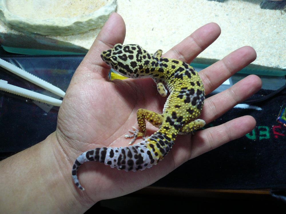 三田店ブログ  ブログ  ペットワールド アミーゴ