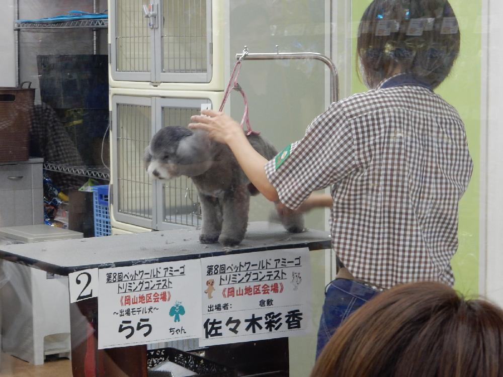 高屋店ブログ ブログ ペットワールド アミーゴ