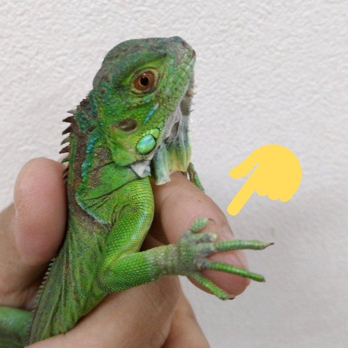丸亀店ブログ ブログ ペットワールド アミーゴ