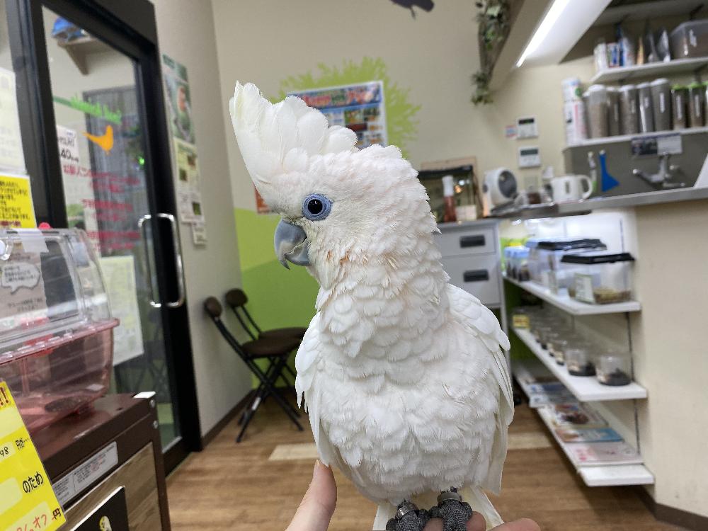 長野篠ノ井店ブログ ブログ ペットワールド アミーゴ