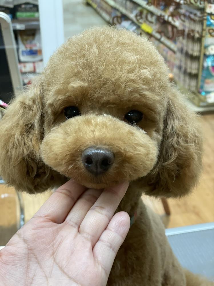 富山山室店ブログ ブログ ペットワールド アミーゴ