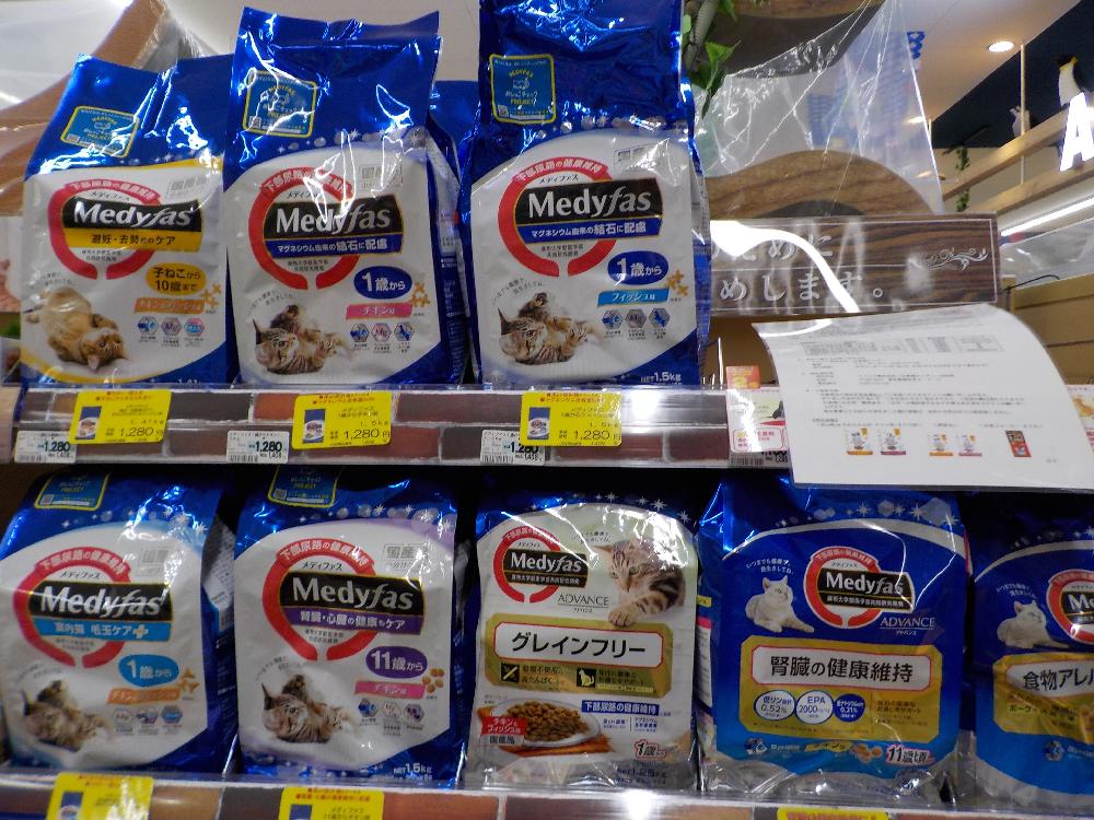 新居浜店ブログ ブログ ペットワールド アミーゴ