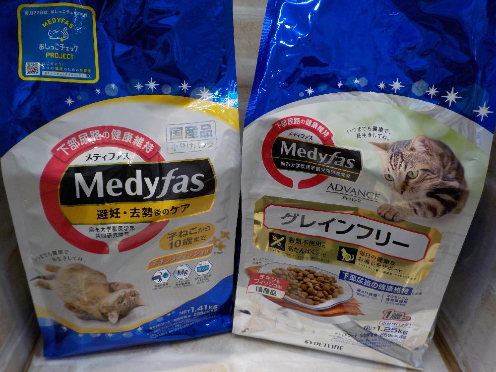 新居浜店ブログ ブログ ペットワールド アミーゴ