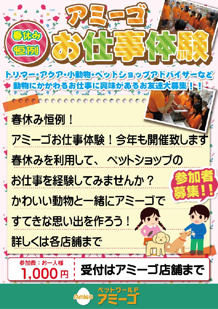 年春休みお仕事体験開催のお知らせ ニュース一覧 ペットワールド アミーゴ