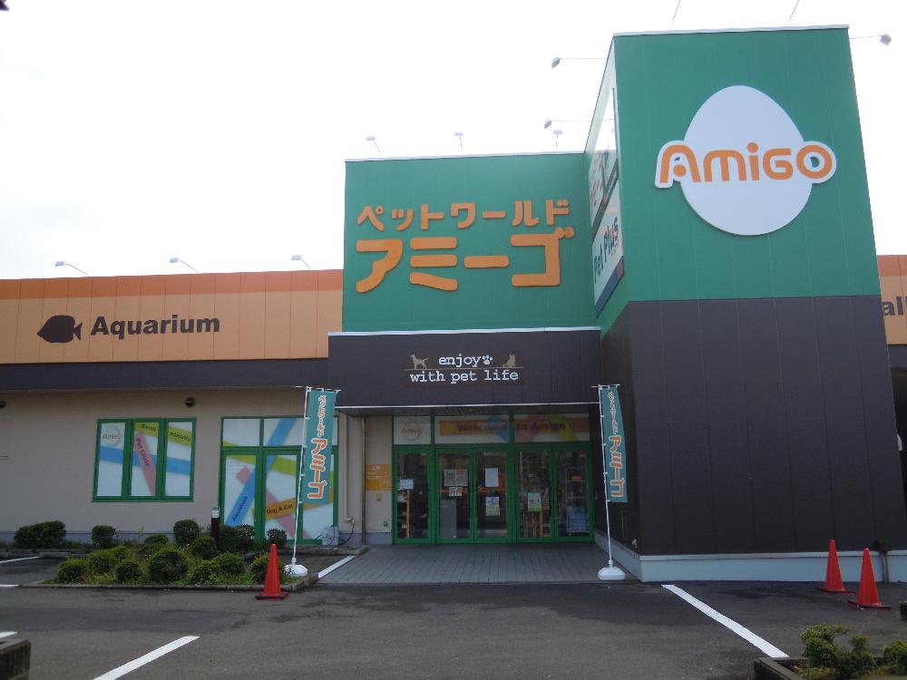 アミーゴ藤沢店の店舗写真