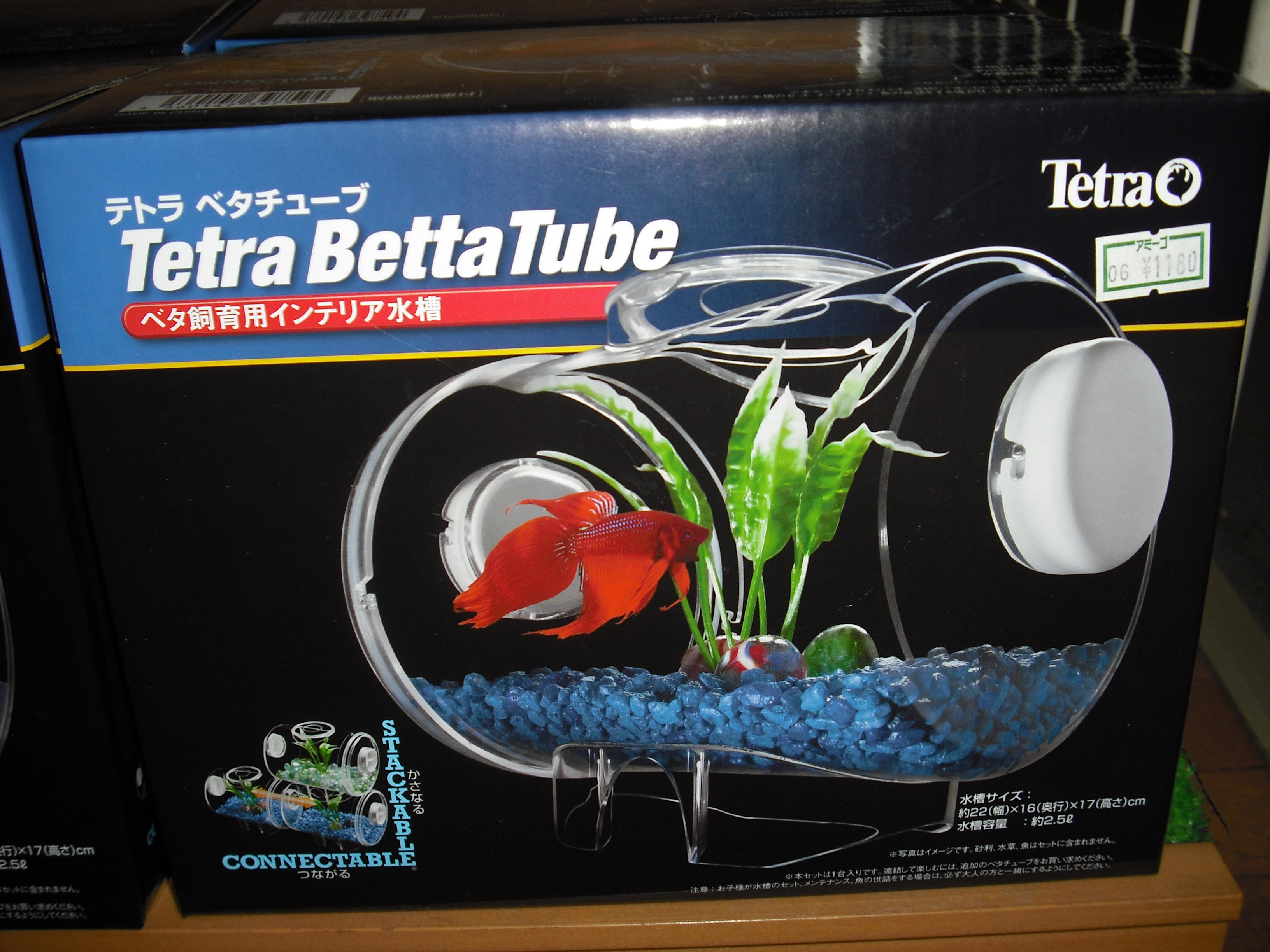 魚用品新入荷 ニュース一覧 ペットワールド アミーゴ