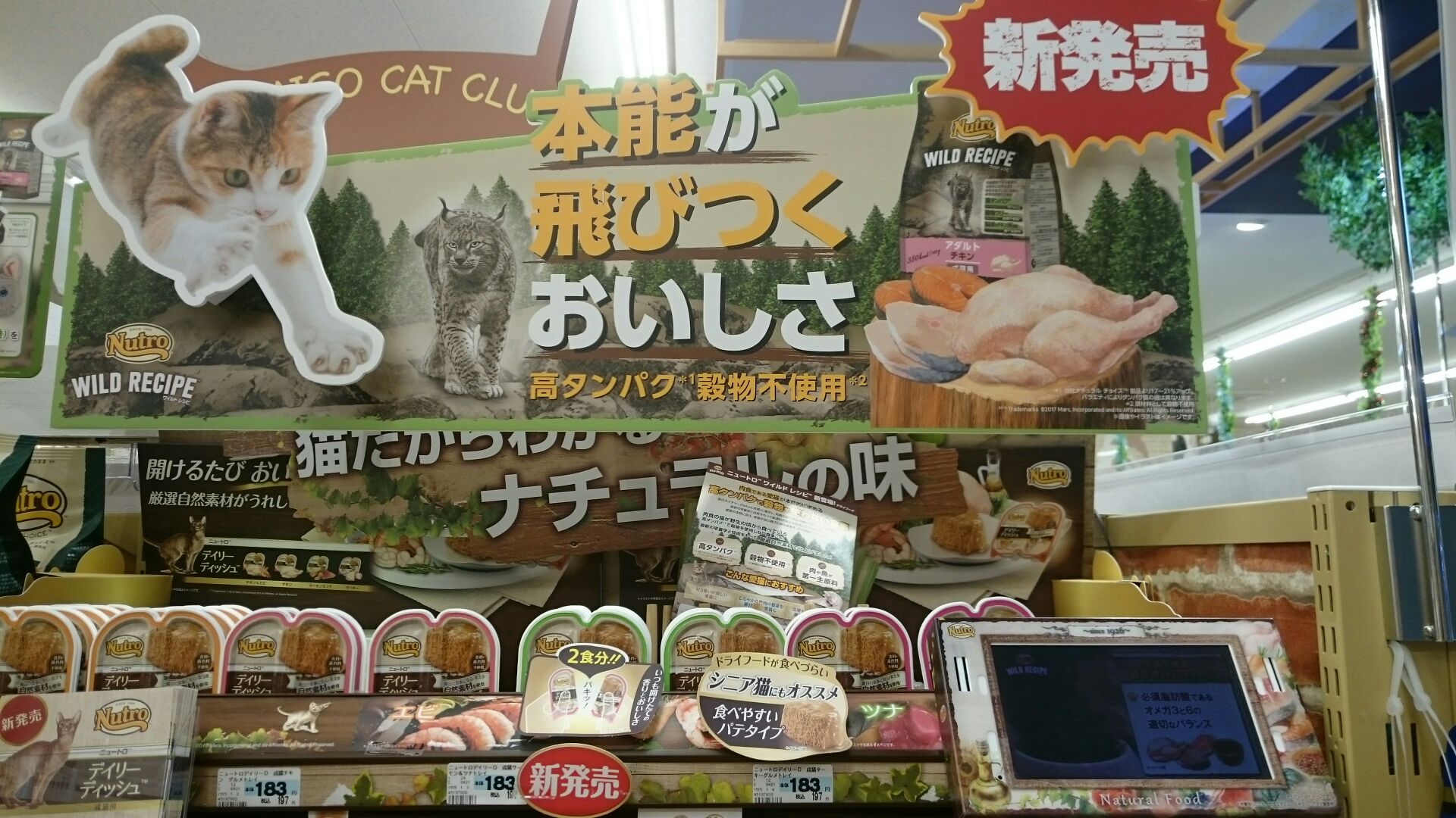 ワイルドレシピ猫も登場 ニュース一覧 ペットワールド アミーゴ