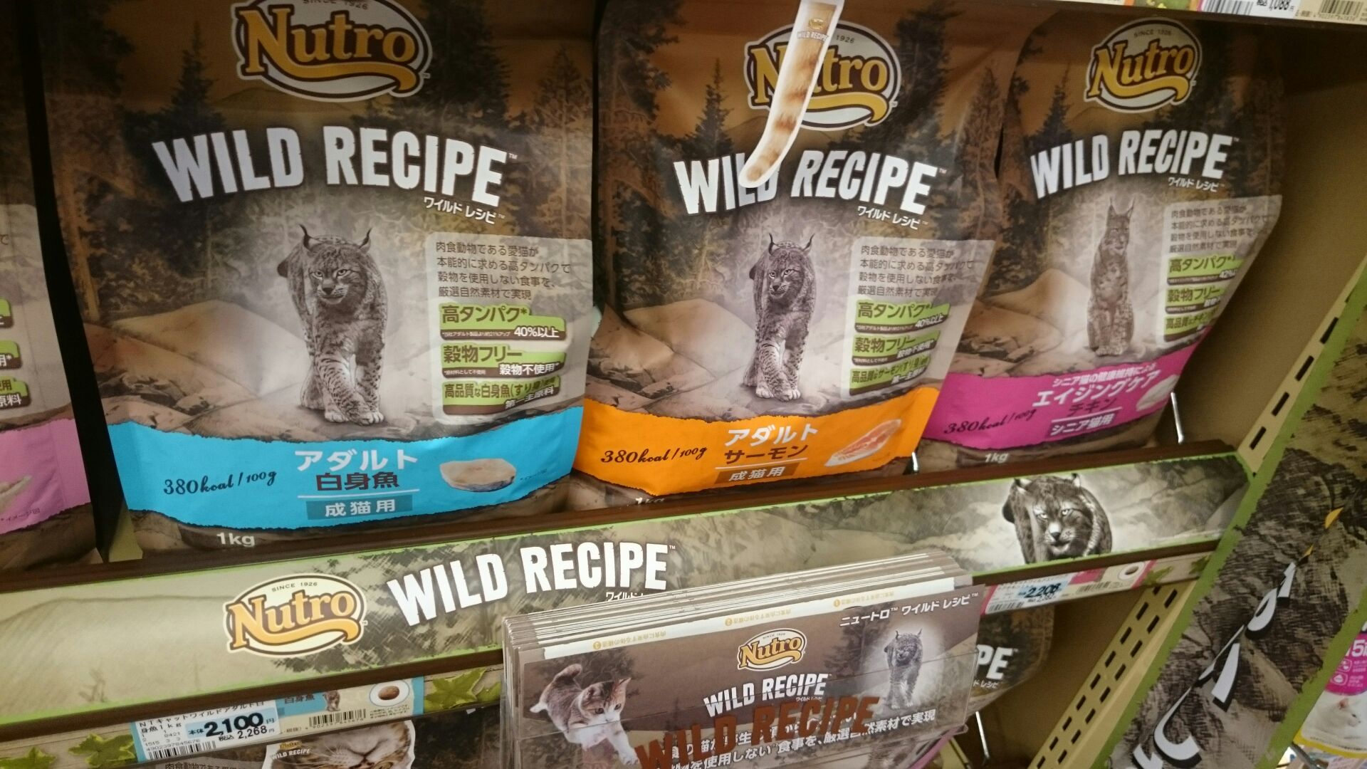 ワイルドレシピ猫も登場 ニュース一覧 ペットワールド アミーゴ
