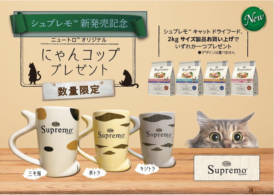 にゃんコップ　ニュートロオリジナル　三毛猫　茶トラ　キジトラ