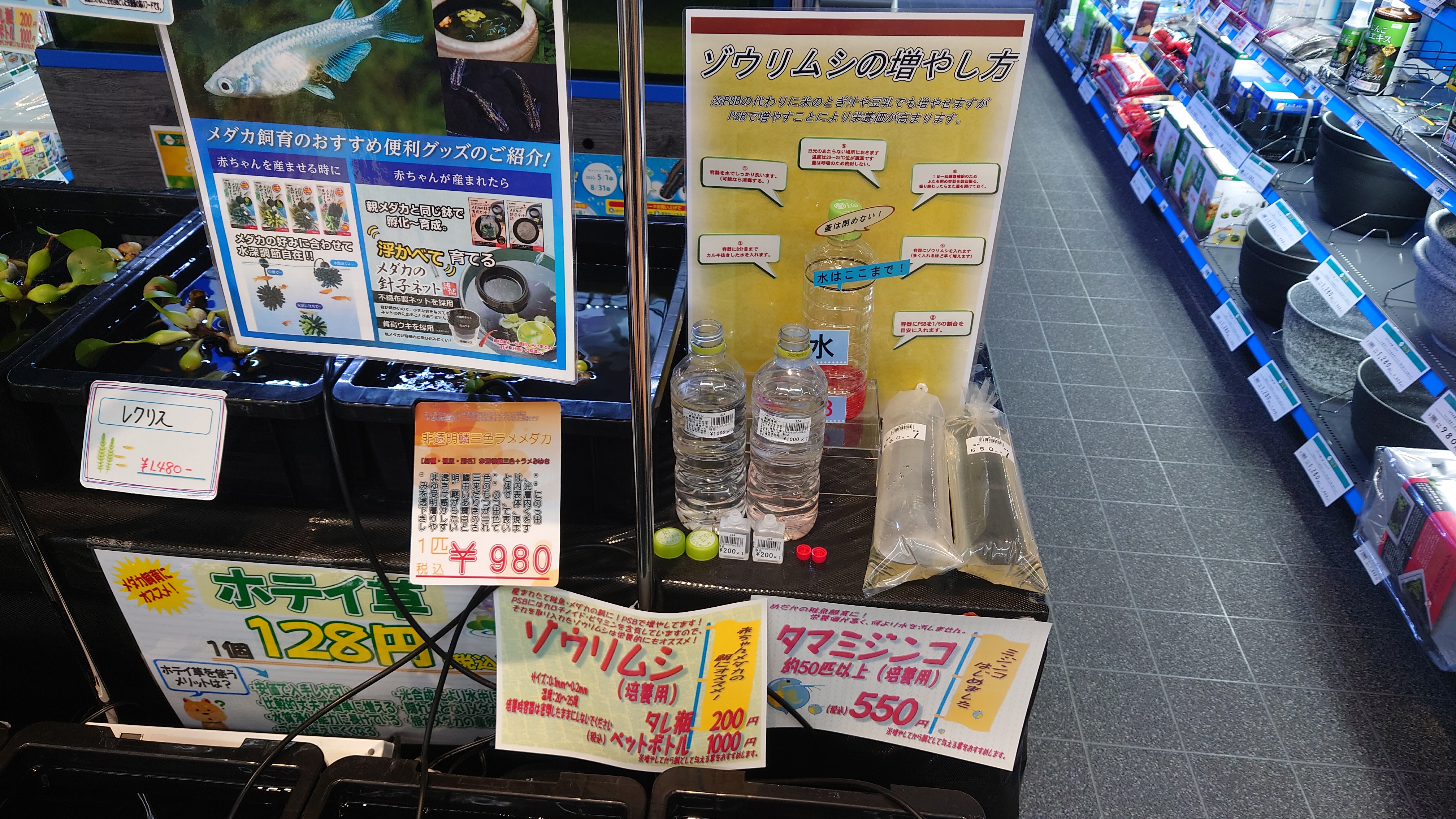 超オススメ ゾウリムシ ミジンコ ニュース一覧 ペットワールド アミーゴ