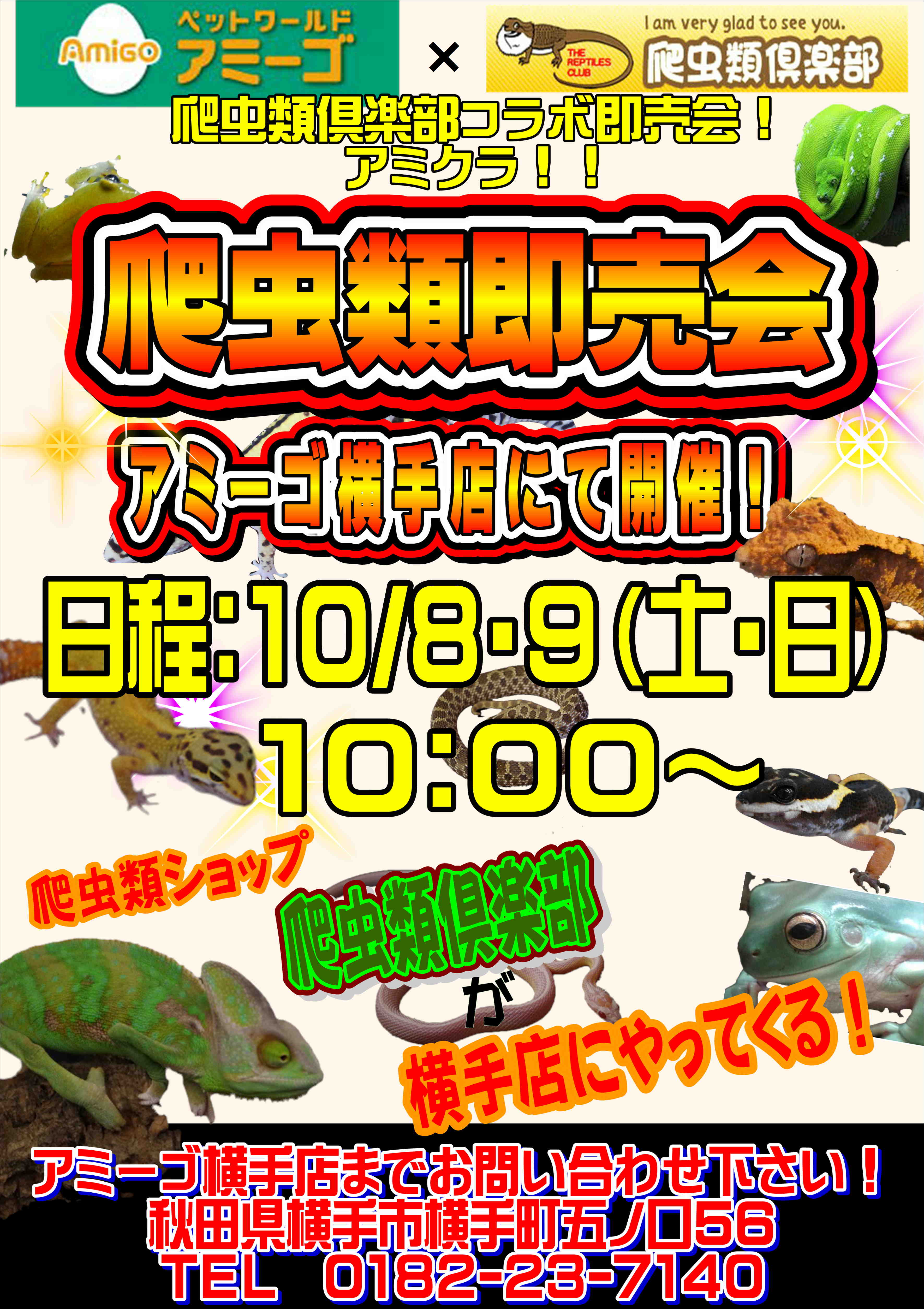 爬虫類即売会開催のお知らせ ニュース一覧 ペットワールド アミーゴ