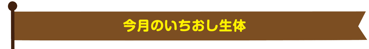 今月のいちおし生体