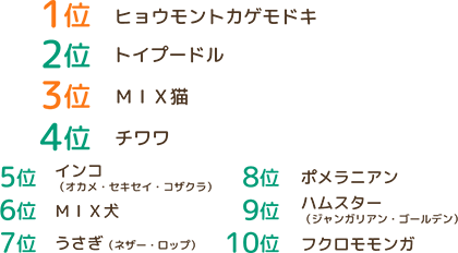 スタッフが飼っているペット トップ10
