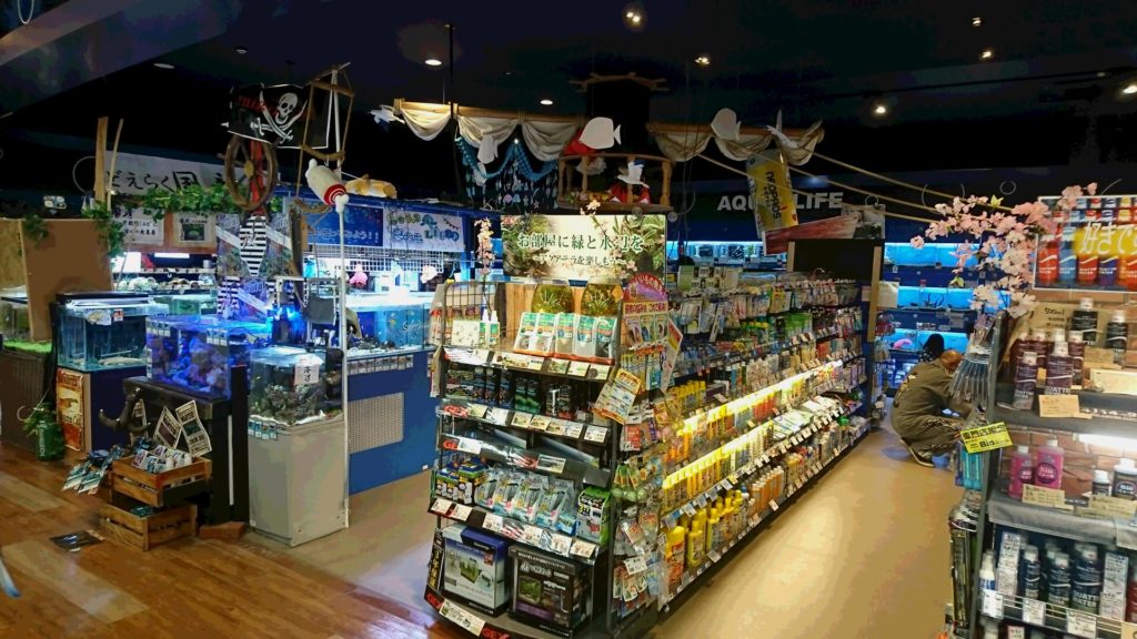 いわき店 アミーゴ総合採用サイト