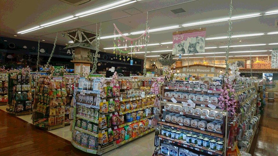 いわき店 アミーゴ総合採用サイト