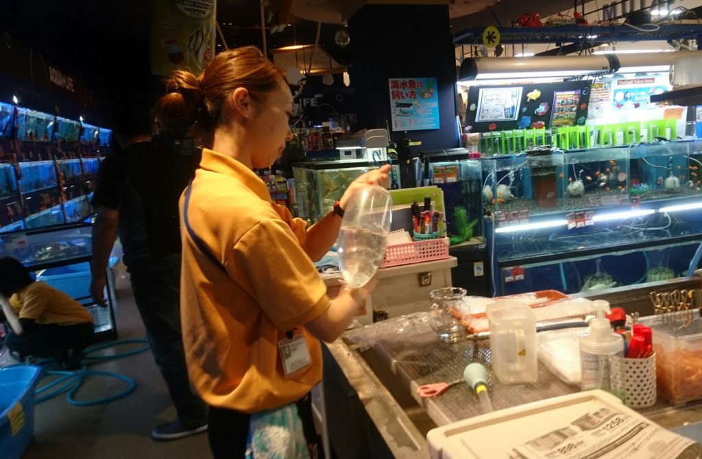 いわき店 アミーゴ総合採用サイト